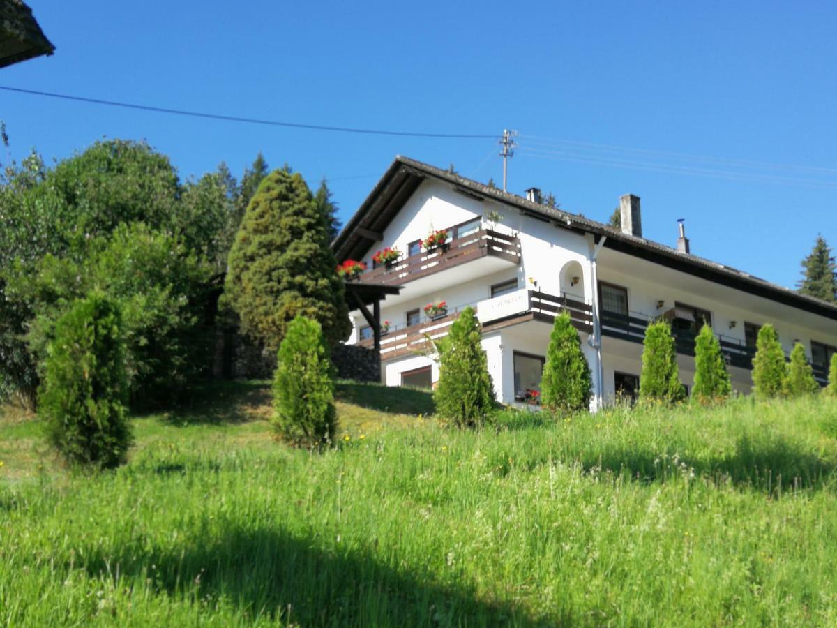 Ferienhaus Enzquelle Enzklösterle Exteriér fotografie