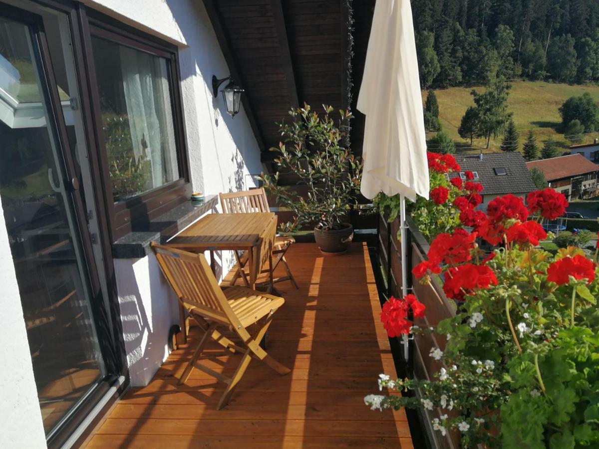 Ferienhaus Enzquelle Enzklösterle Exteriér fotografie